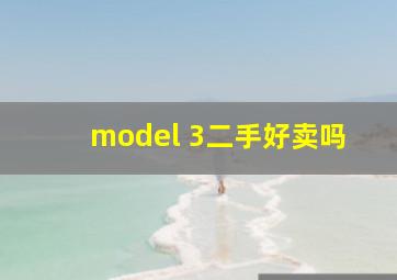 model 3二手好卖吗